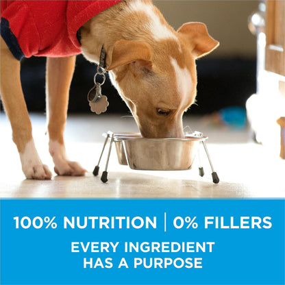 Purina ONE Dry Dog Food, +Plus Small Breed with Beef - 3.63 kg Bag (1 Pack)