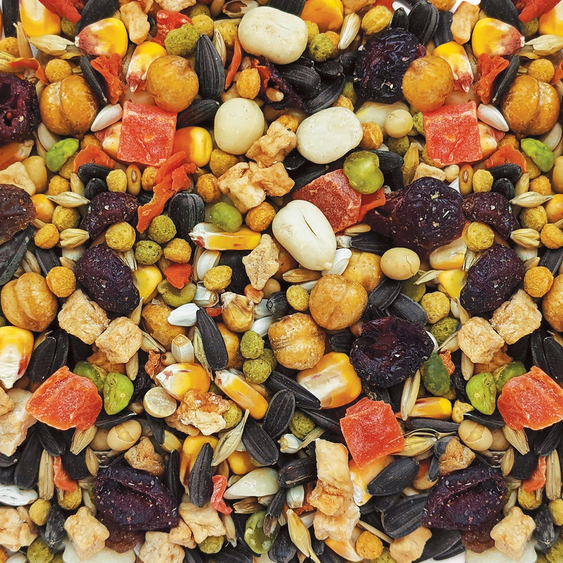Hagen B2813 Gourmet Small Parrot Seed Mix, 2 Kg, 4.4-Pound HARI