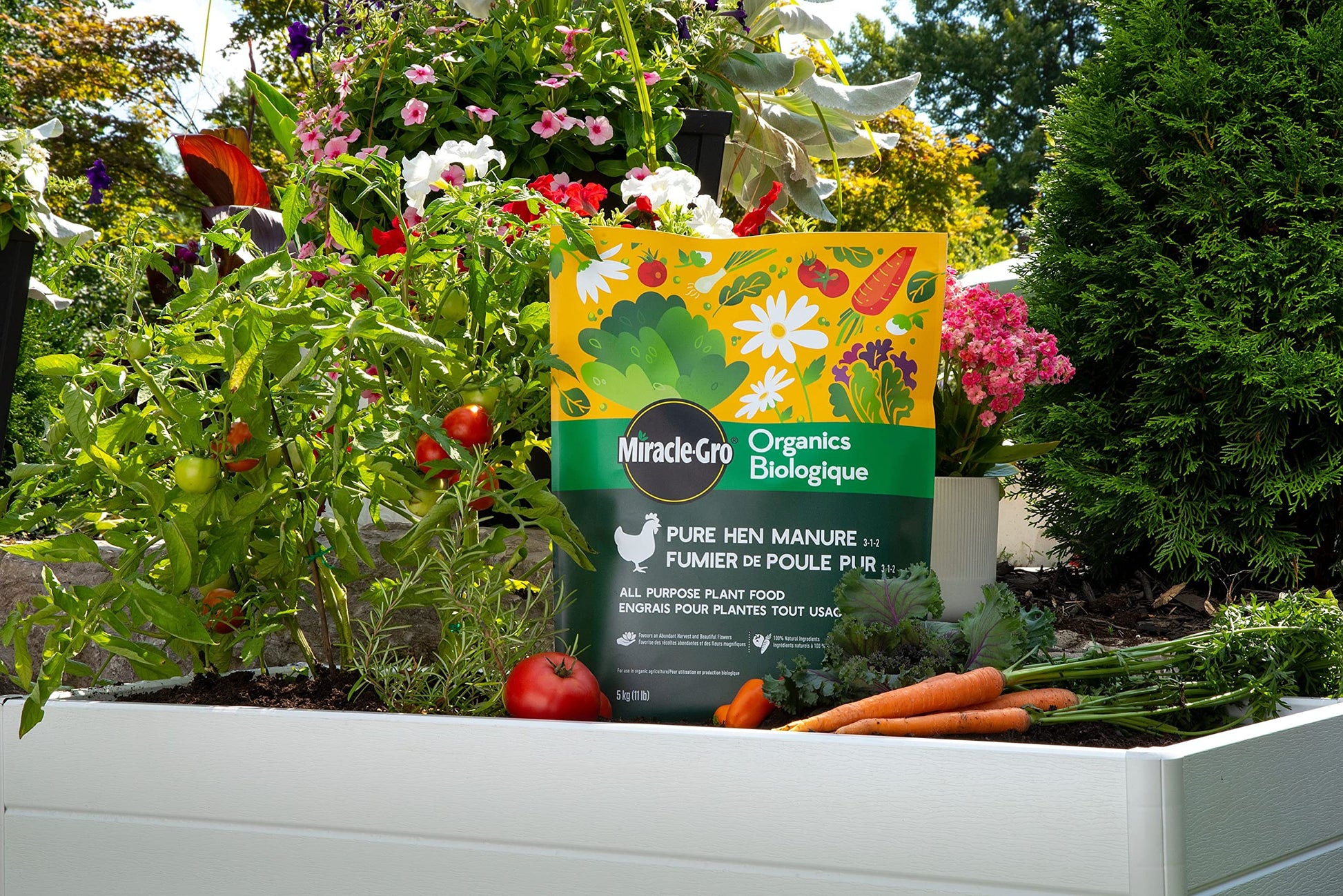Miracle-Gro Organics Pure Hen Manure Fertilizer 3-1-2, 5kg | ECOCERT Organic All-Purpose Granules for Flowers, Veggies, Trees & Shrubs | Slow Release, Boosts Growth Miracle-Gro