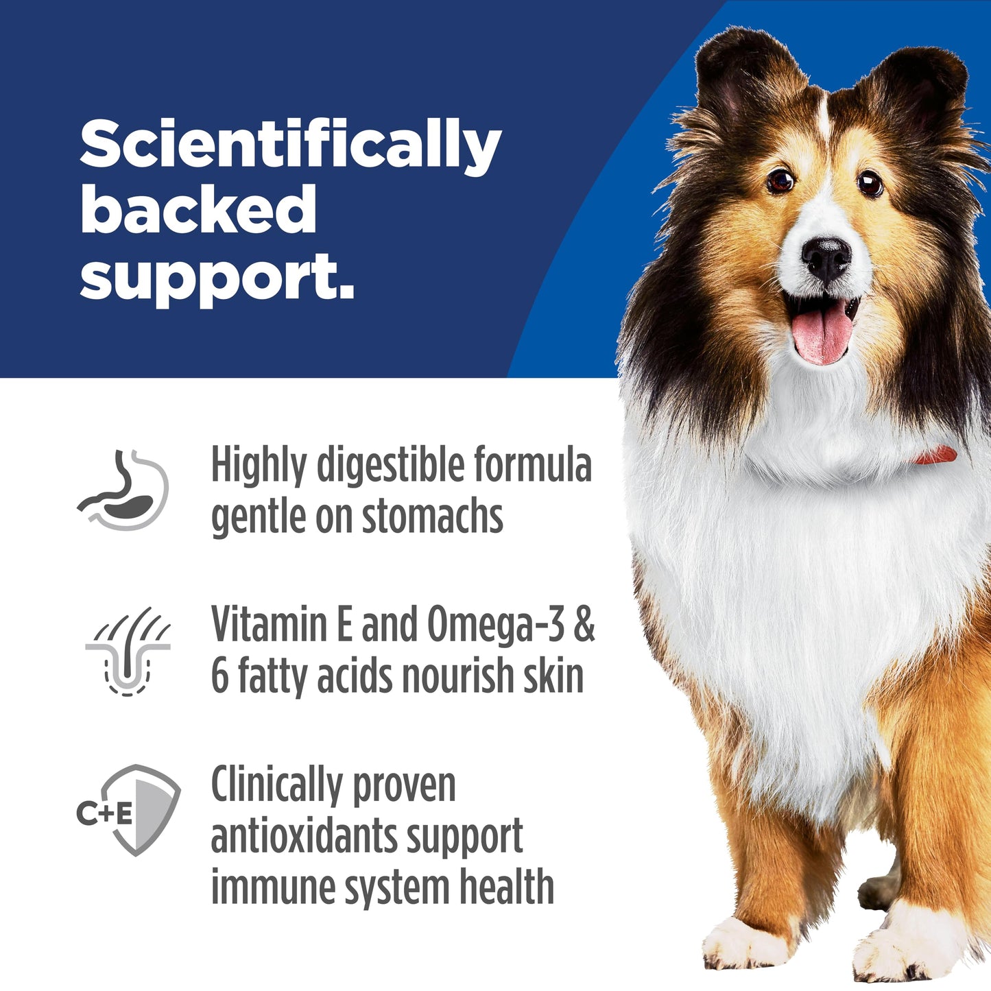 Hill's Science Diet Sensitive Stomach & Skin, Adult 1-6, Stomach & Skin Sensitivity Support, Wet Dog Food, Chicken & Vegetables Loaf, 12.8 oz Can, Case of 12 🍁 All In One Marketplace Canada