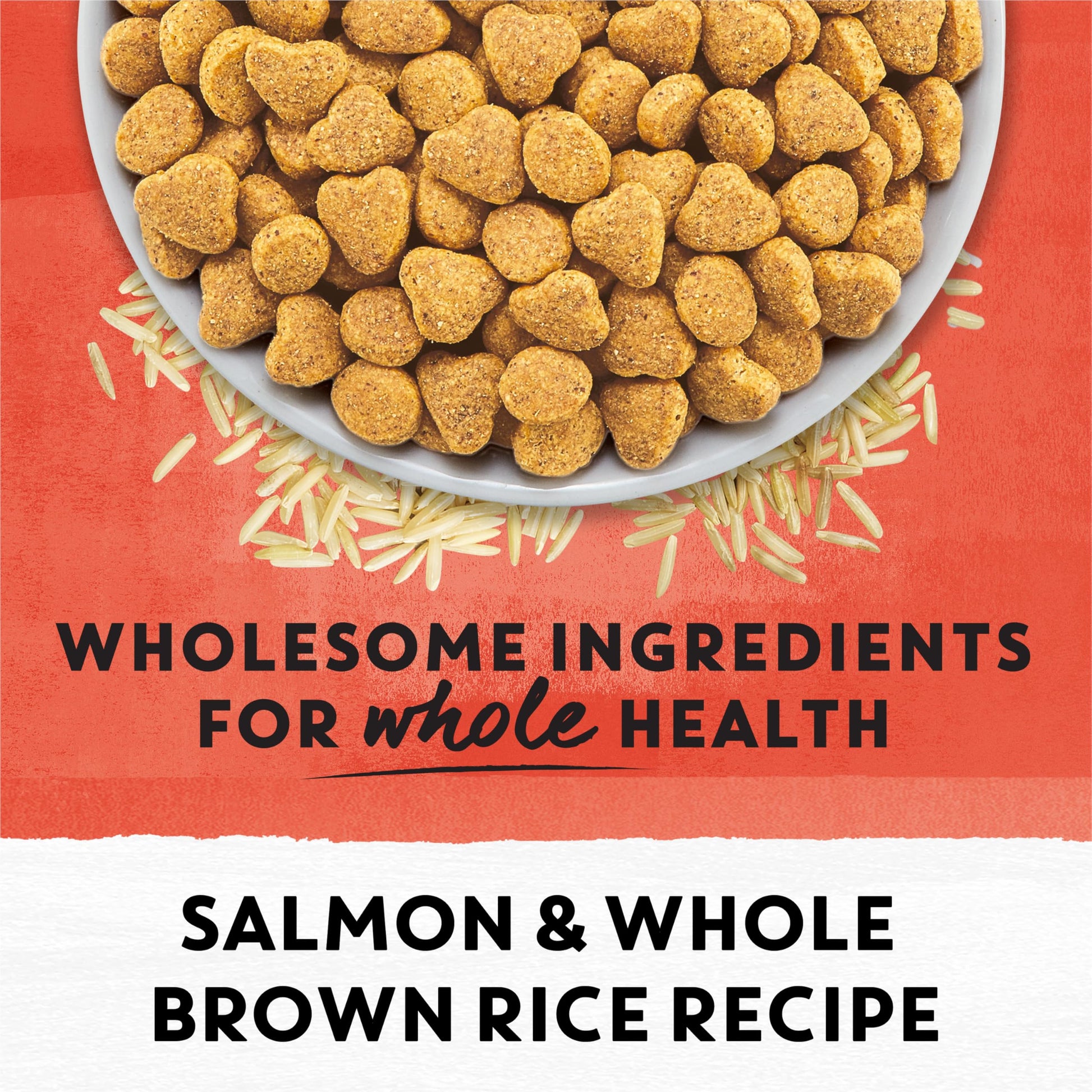 Beyond Simply Natural Dry Cat Food, Salmon & Whole Brown Rice - 2.72 kg Bag - Available at All In One Marketplace Canada
