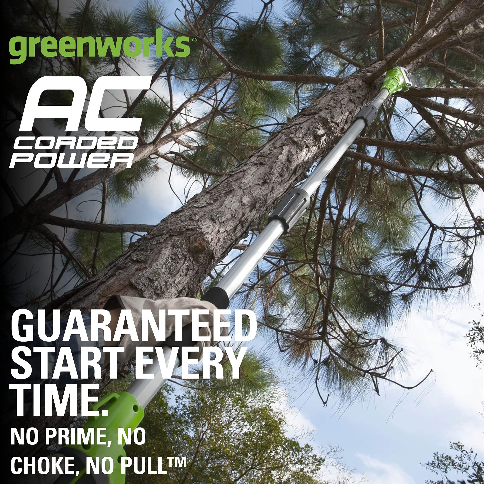 Greenworks 20192 8.5-Inch 6.5 Amp Electric Corded Pole Saw, Green Greenworks