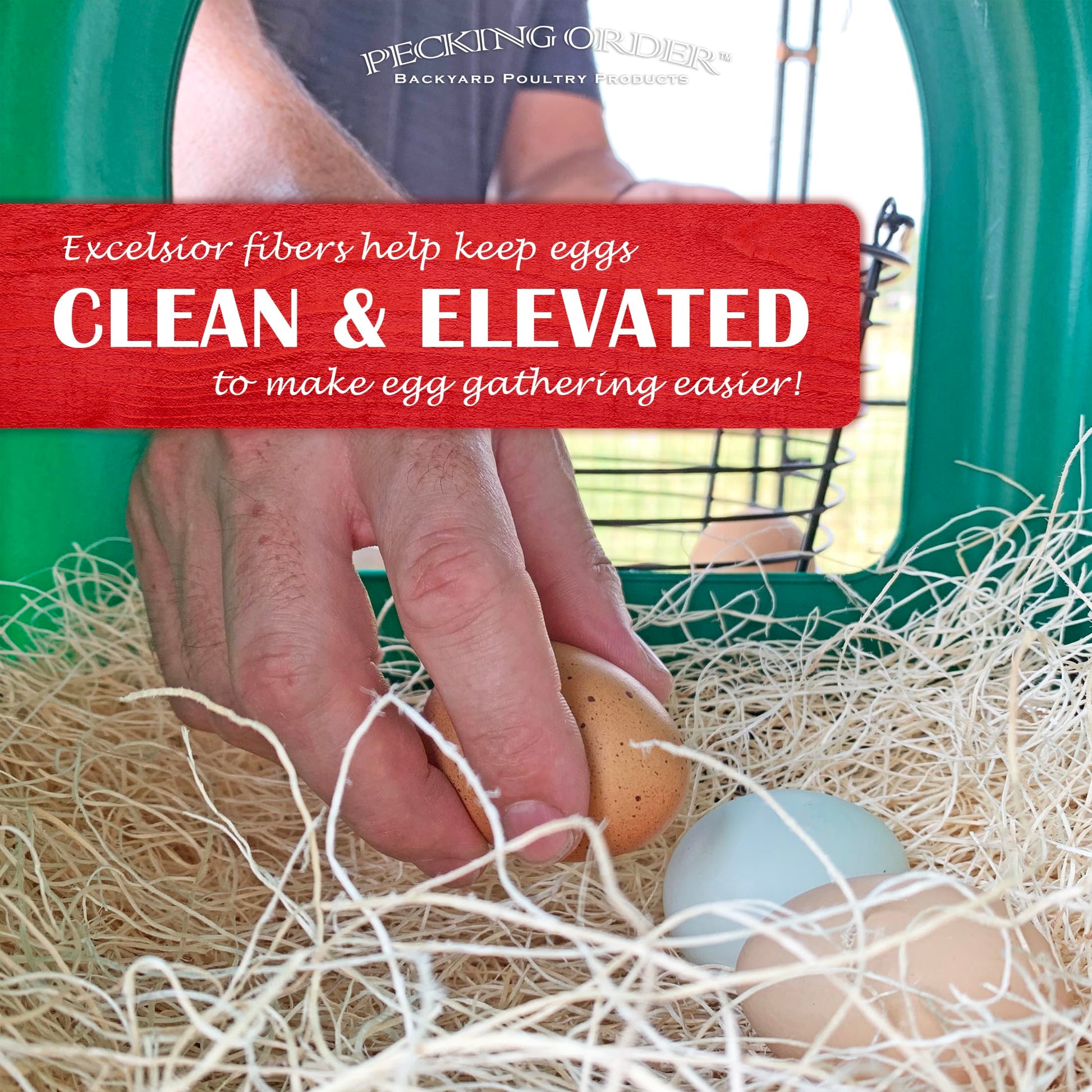 Nest Box Pads for Chicken Nesting Boxes - 13 x 13 Pads Made in USA from Sustainably Sourced Aspen Excelsior (5 Pack) 🍁 All In One Marketplace Canada Pecking Order