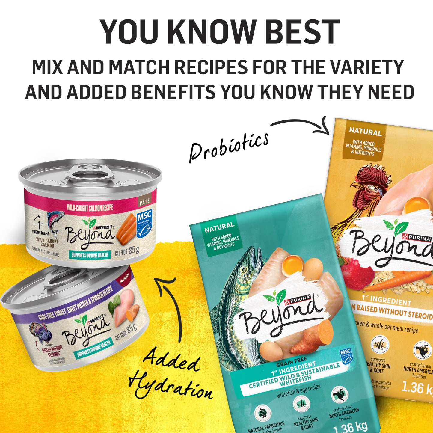 Beyond Dry Cat Food, Chicken & Whole Oatmeal 2.72kg 🍁 All In One Marketplace Canada