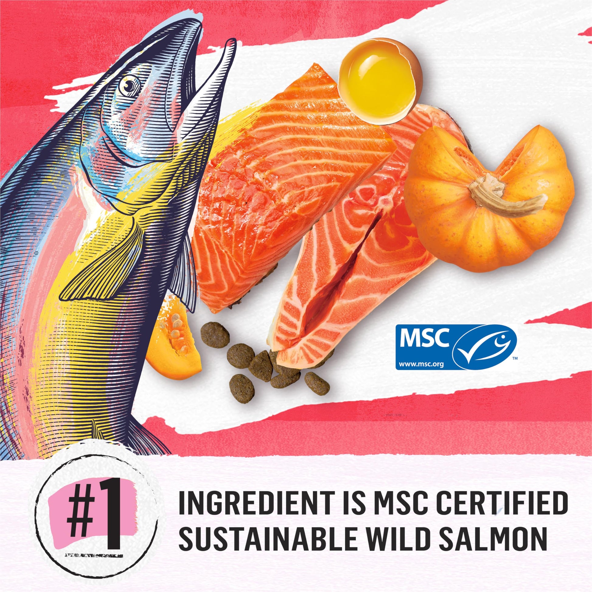 Beyond Superfood Blend Natural Dry Dog Food, Wild Caught Salmon, Egg & Pumpkin - 10.2 kg Bag