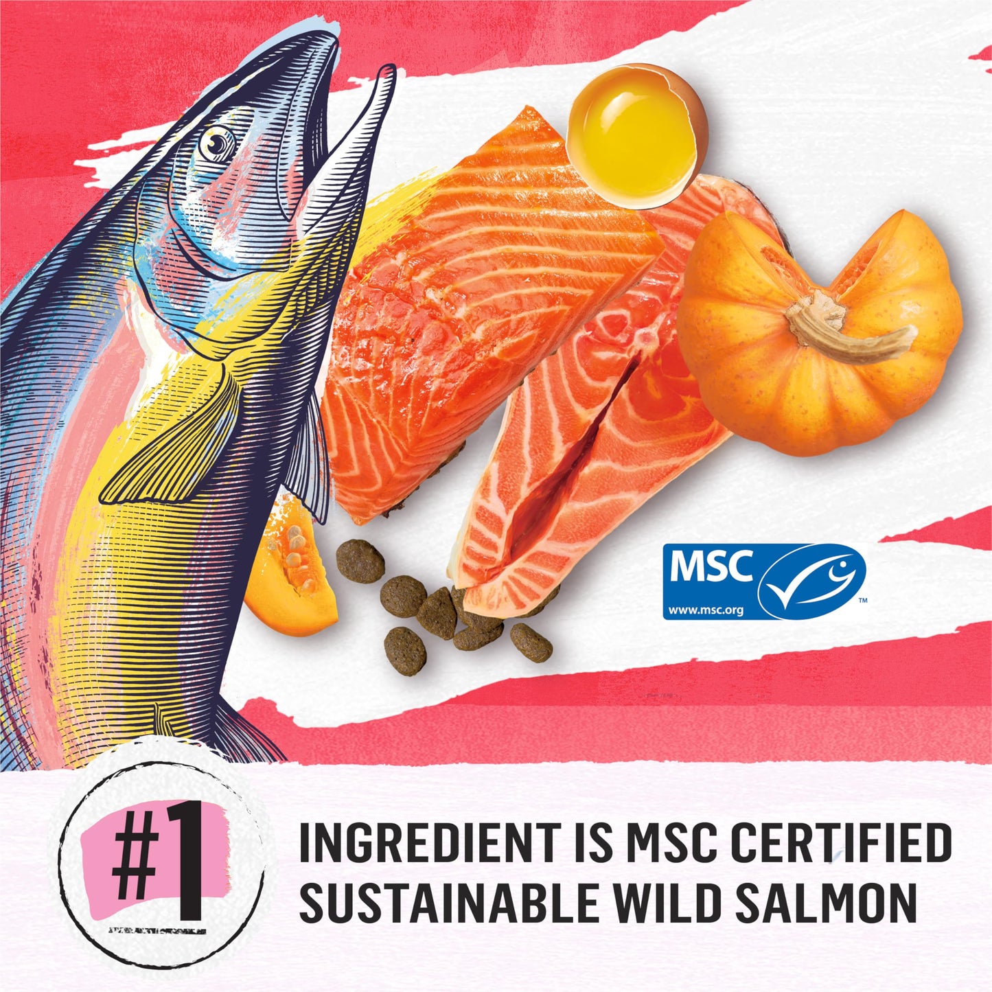 Beyond Superfood Blend Natural Dry Dog Food, Wild Caught Salmon, Egg & Pumpkin - 5 kg Bag 🍁 All In One Marketplace Canada