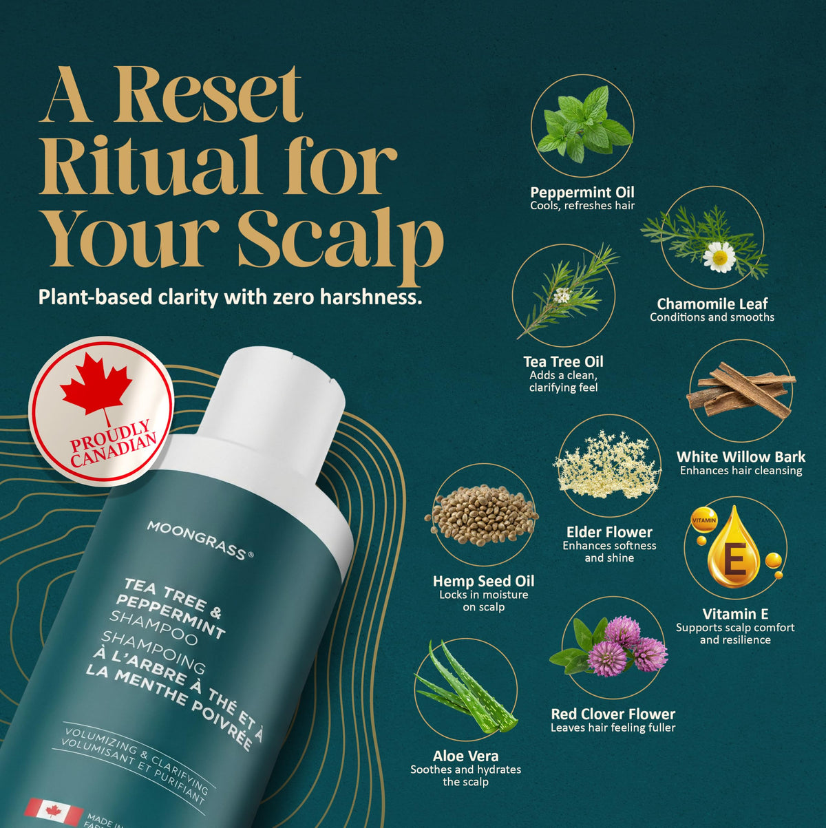 Moongrass Tea Tree Shampoo with Peppermint Oil, Plant-Based, Made in Canada 🍁 All In One Marketplace Canada