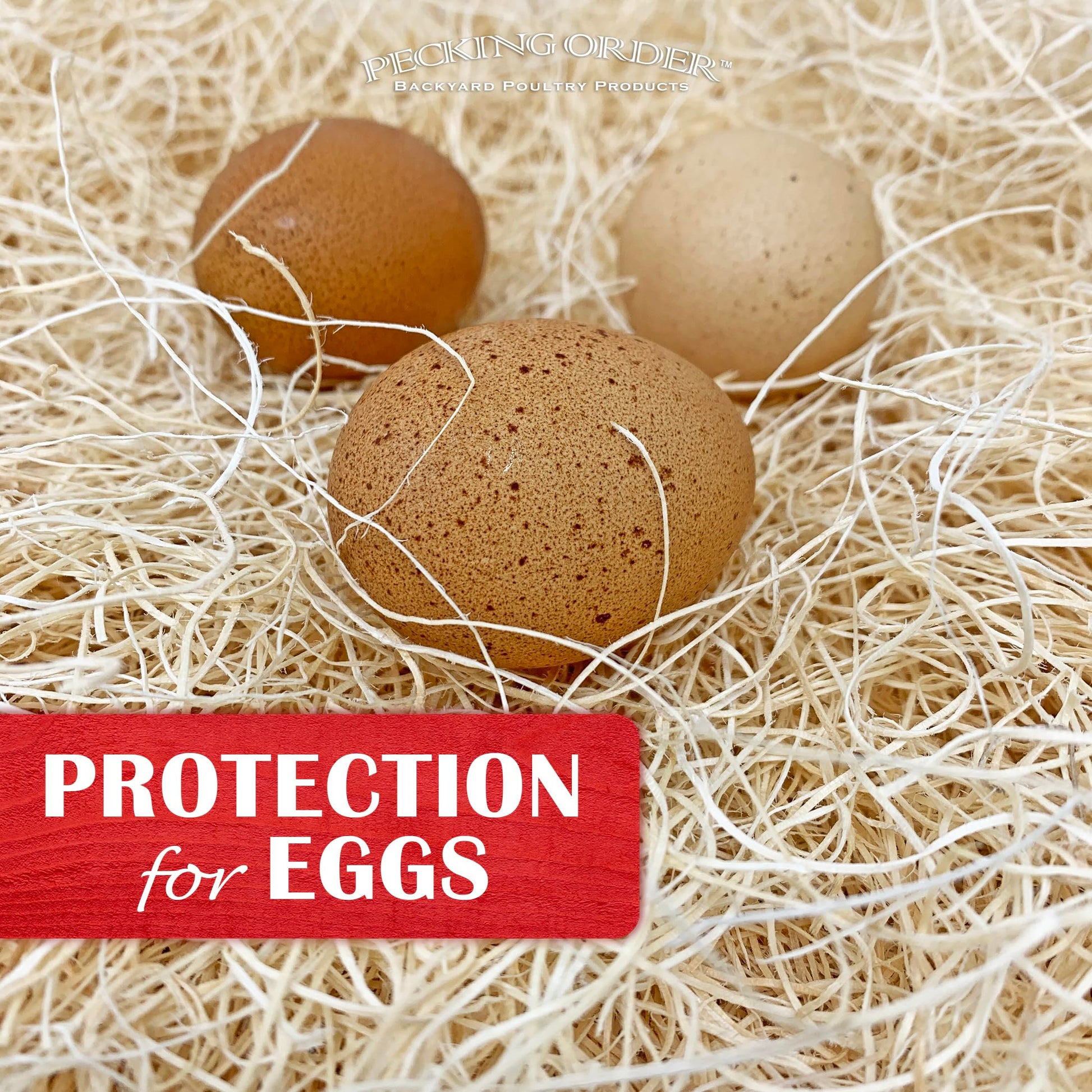 Nest Box Pads for Chicken Nesting Boxes - 13 x 13 Pads Made in USA from Sustainably Sourced Aspen Excelsior (5 Pack) 🍁 All In One Marketplace Canada Pecking Order