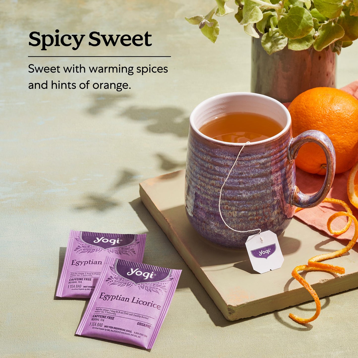 Yogi Egyptian Licorice Tea (6 Pack) - Organic Herbal Blend with Cinnamon, Cardamom & Clove - 96 Tea Bags