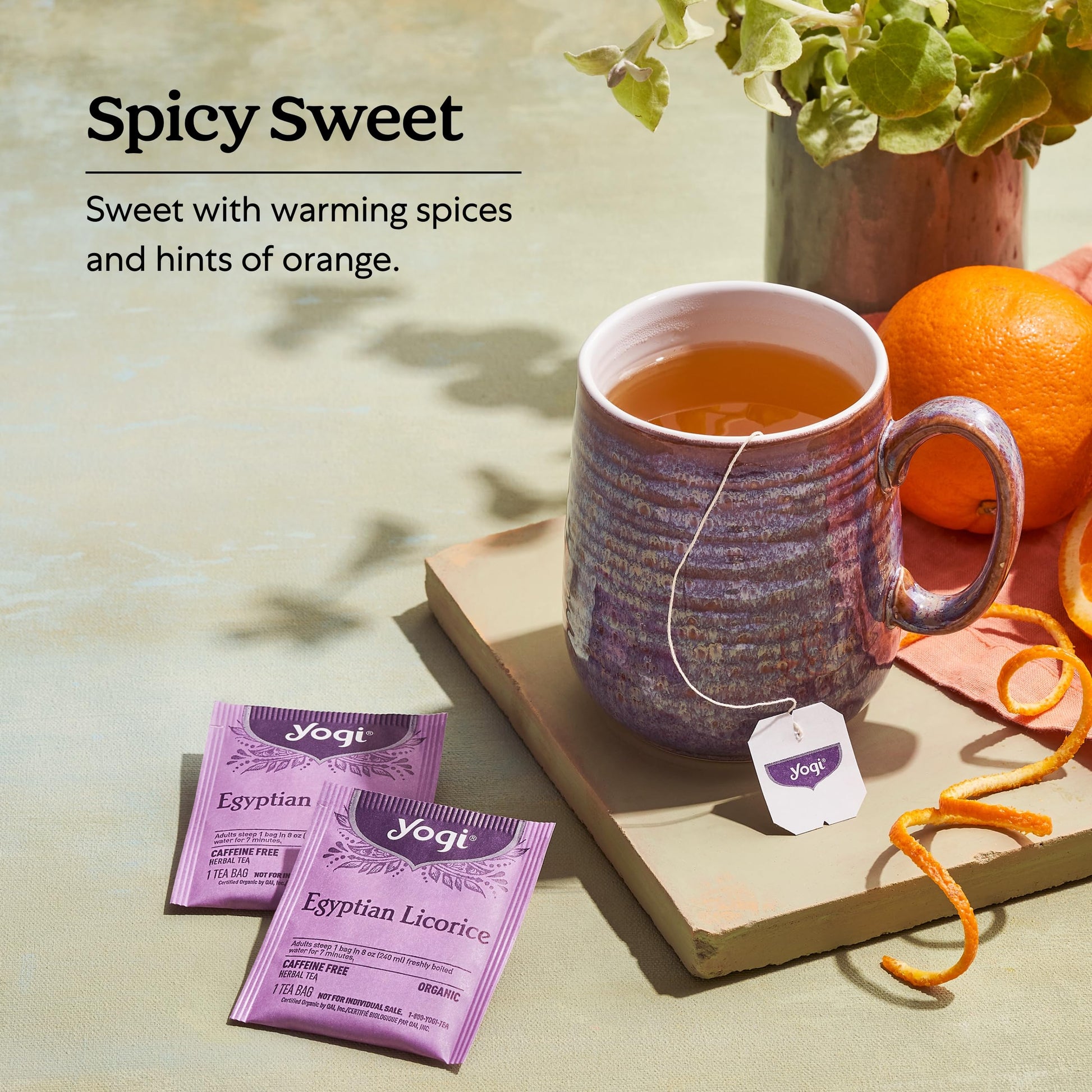Yogi Egyptian Licorice Tea (6 Pack) - Organic Herbal Blend with Cinnamon, Cardamom & Clove - 96 Tea Bags