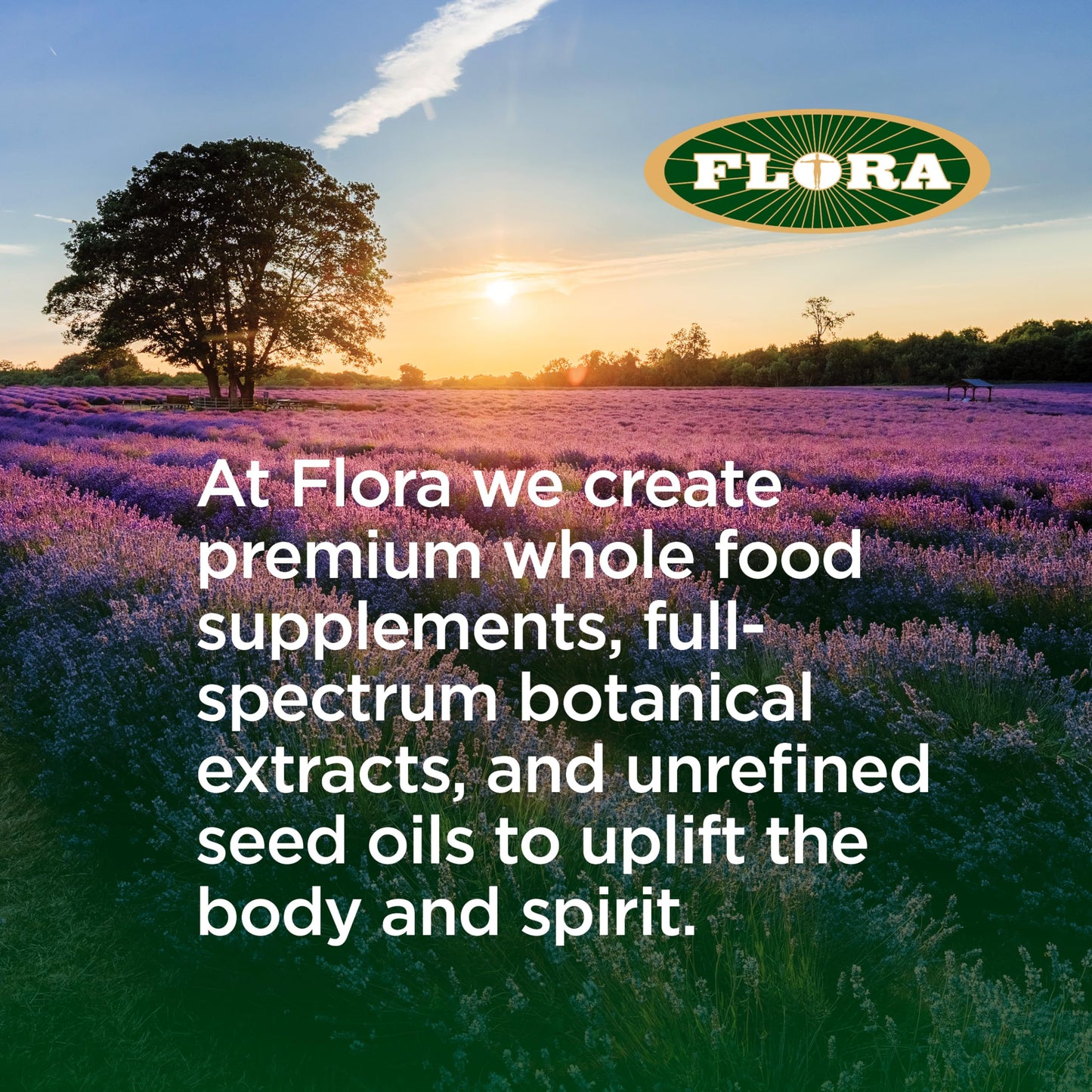 Flora MCT Oil – Organic C8 & C10 Energy Support, Keto-Friendly, Non-GMO, Sustainably Sourced Coconut, 500 mL