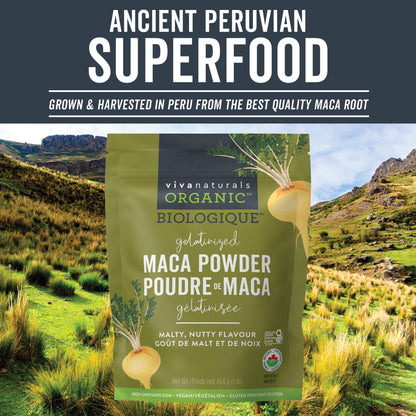 Viva Naturals Organic Maca Powder, Gelatinized Peruvian Maca Root Powder, Non-GMO, 1 lb Viva Naturals