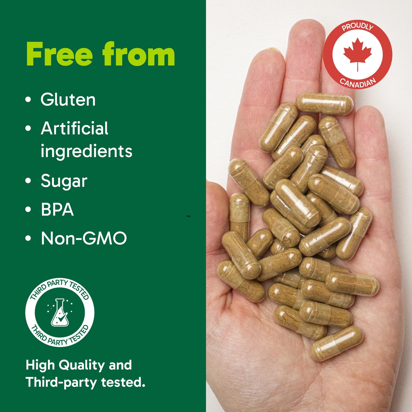 Organika Canadian-Made Maca 4:1 Strength 180 Vcaps - 3000mg | High Bioavialability Formula, Adaptogen to Help with Stress, Energy and Hormone Balance Organika