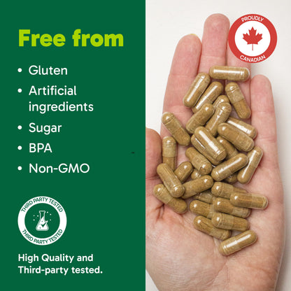 Organika Canadian-Made Maca 4:1 Strength 180 Vcaps - 3000mg | High Bioavialability Formula, Adaptogen to Help with Stress, Energy and Hormone Balance Organika