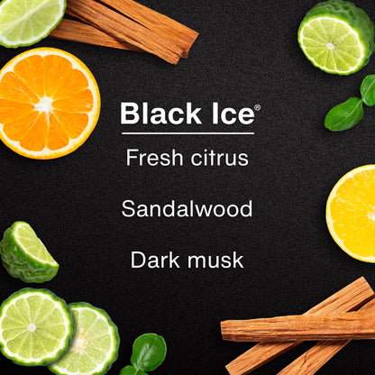 LITTLE Air Fresheners Car Air Freshener. Hanging Tree Provides Long Lasting Scent for Auto or Home. Black Ice, 24 Air Fresheners