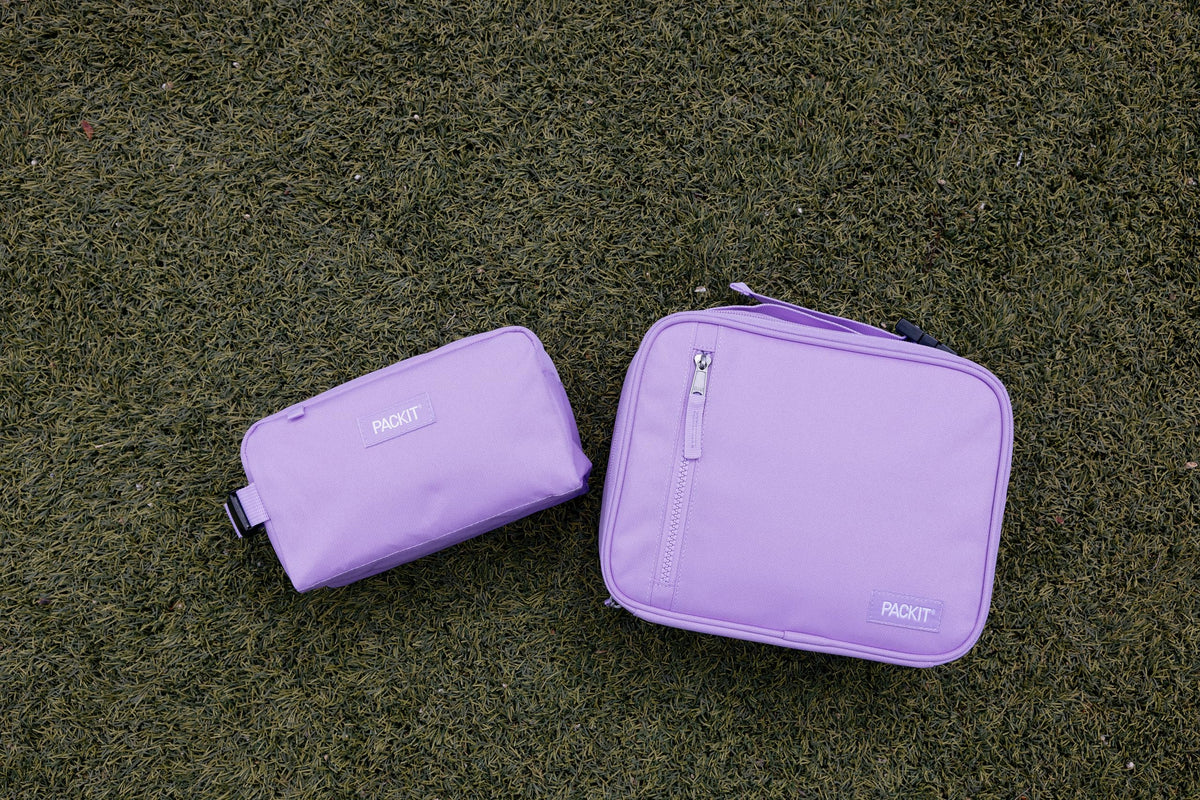 PackIt Freezable Snack Box, Lavender